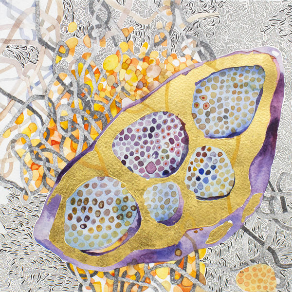 Shaanea Mendis Celestial Fruit, 2023 Watercolor, Goldleaf, Graphite pencil, Ink and Pen on Paper 26 x 26 cm 10 1/4 x 10 1/4 in