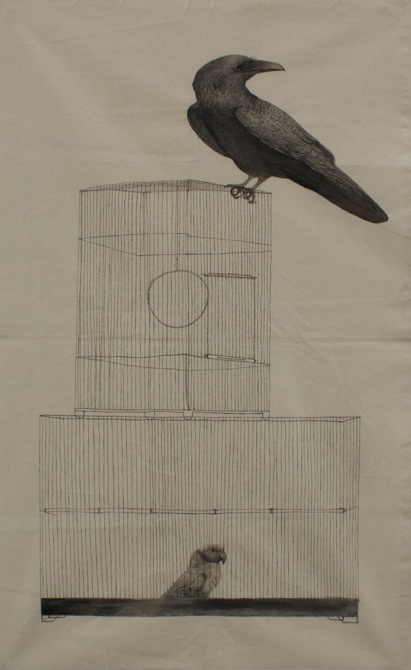 Firi Rahman, Foster 02 , 2020