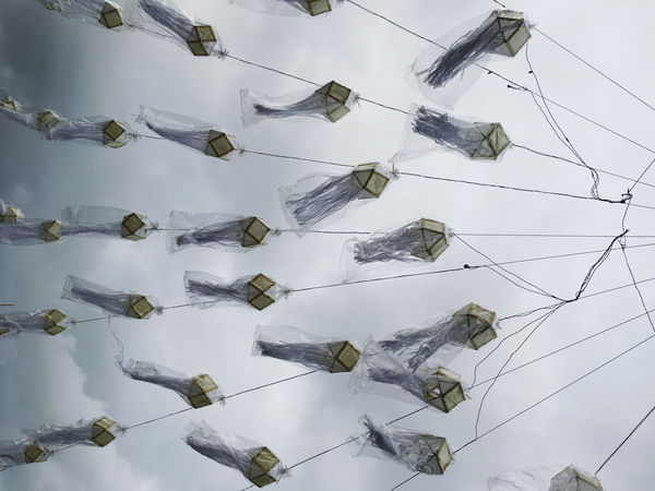 Abdul Halik Azeez, SUBURBAN POETRY VI, 2017