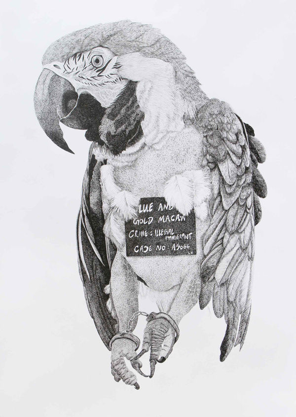 Firi Rahman Imprisonment, 2016 Pen on Paper 100 x 71 cm 39 3/8 x 28 in