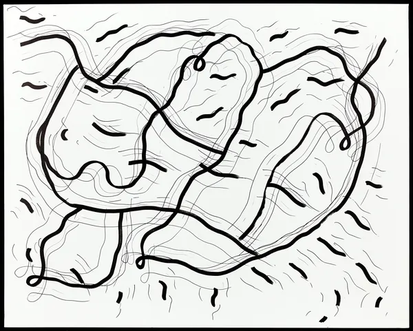 Shantell Martin - Drawings, Double Lines, 2016