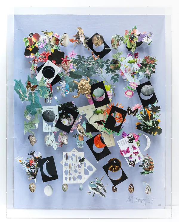 Jack Milroy, The Golden Toad, 2025