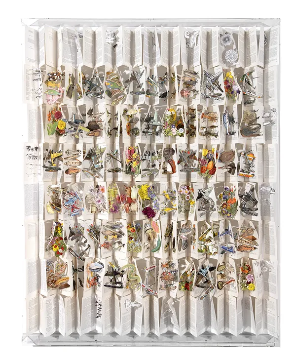 Jack Milroy, Territorial Ambitions, 2014