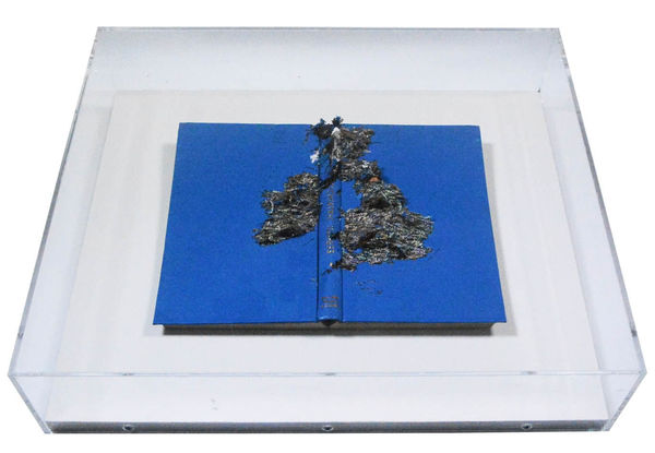 Jonathan Callan - Psychiatric Illness, 2000