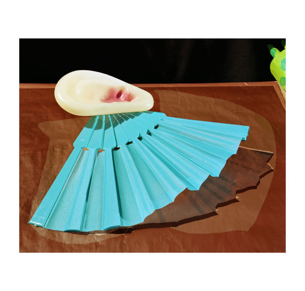 Etienne Courtois Potentiel évoqué, 2019 Archival inkjet print mounted on plywood 32,2 x 40 cm