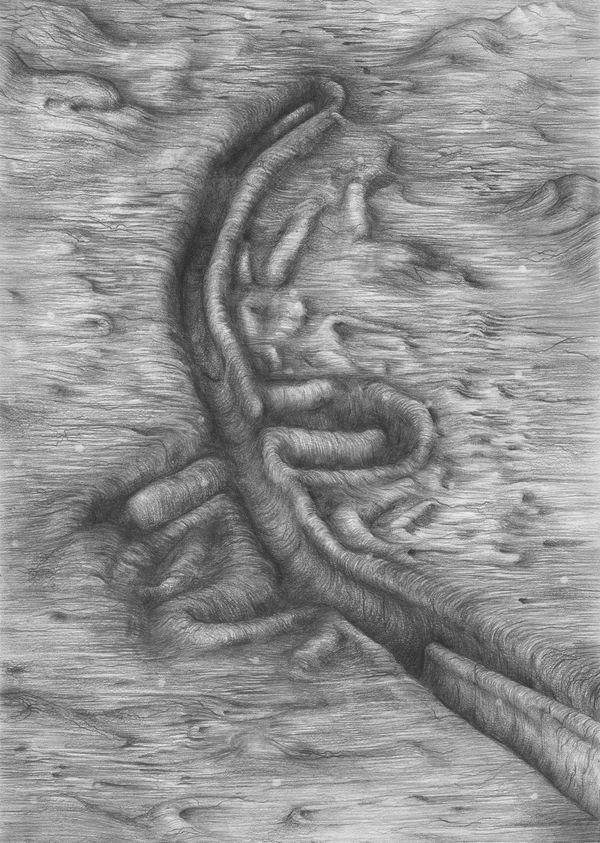 Tom Hallet, To Sarah, 2020