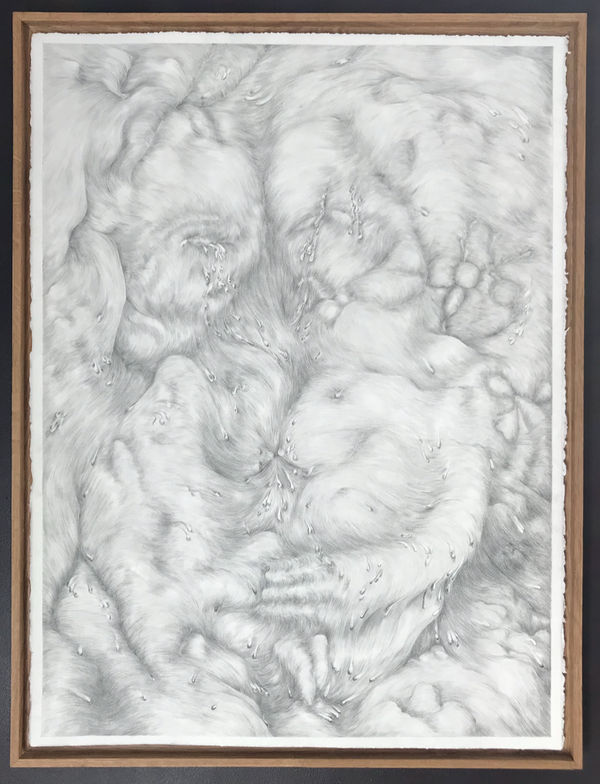 Tom Hallet, To Jean, 2020