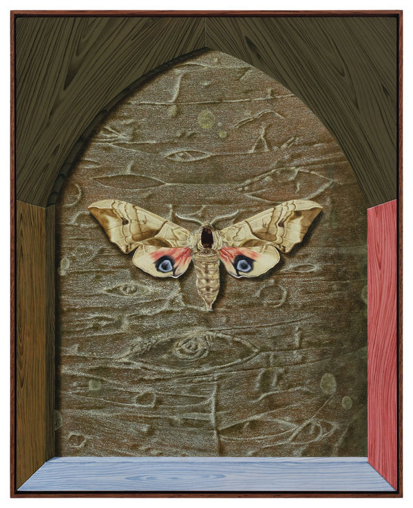 Dittmar Viane, Eyed Hawk, 2024