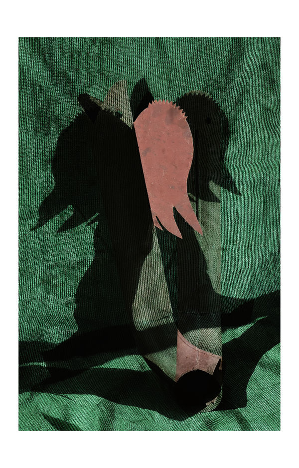 Etienne Courtois Pooh-pooh, 2020 Archival inkjet print mounted on plywood 30 x 21 cm