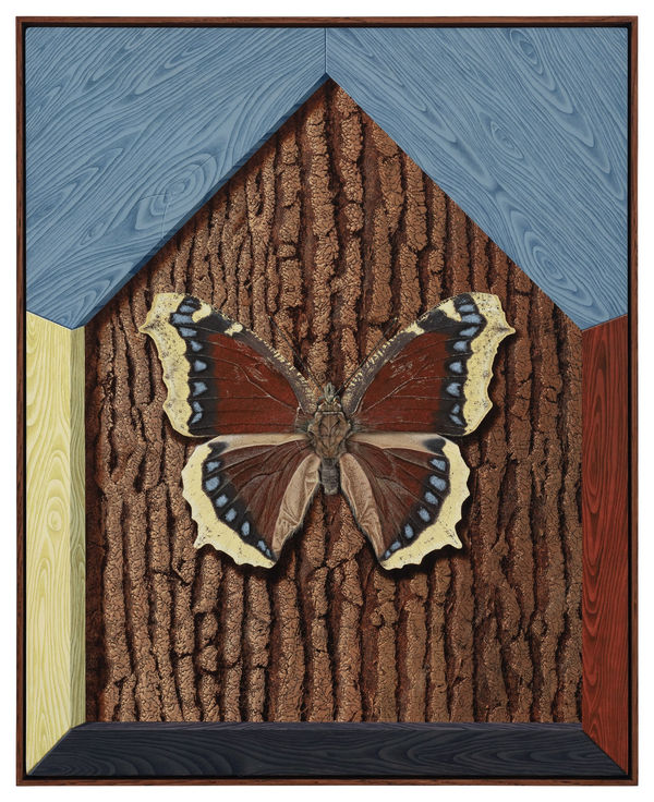 Dittmar Viane, Mourning Cloak, 2024