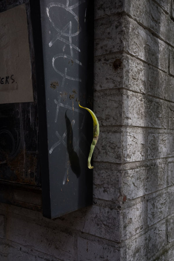 Elias Derboven, Refuge, 2021