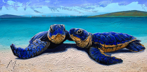 Shawn Mackey, Together SN