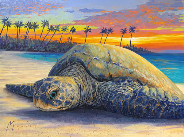 Shawn Mackey, Beach Dreams SN, 2026