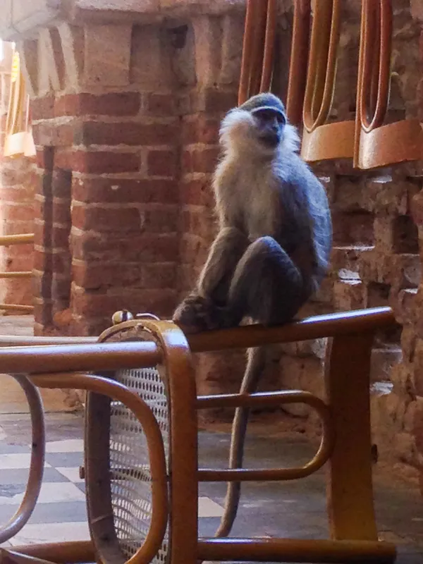 Sherihan Khalil, Khartoum Balcony View, 2016