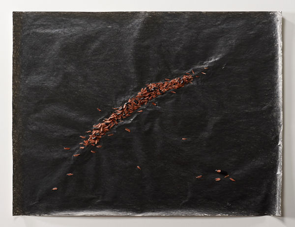 Shi Jin-Hua, Pen Walking #141, 2014