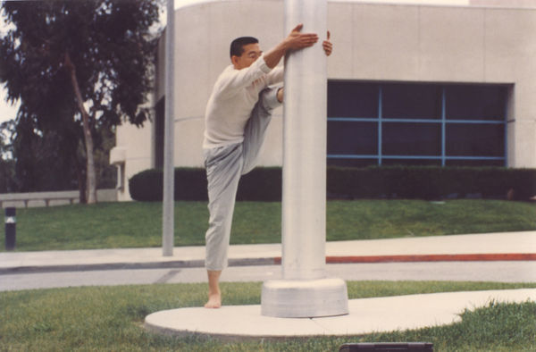 Flag Pole, 1996