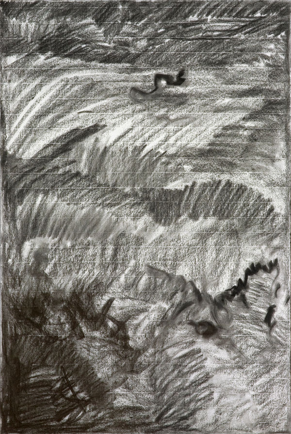 Shi Jin-Hua, Pen Walking #30, 2007