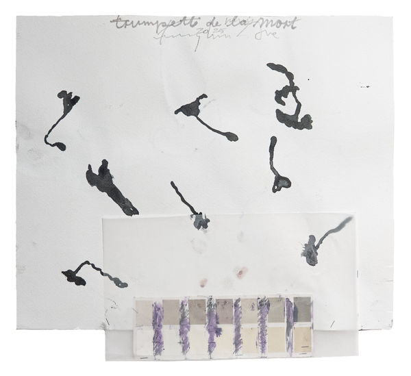 Fereydoun Ave, Trompette de la Mort, 2025