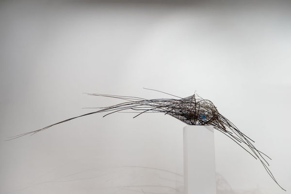 Shaqayeq Arabi, Untitled, 2026