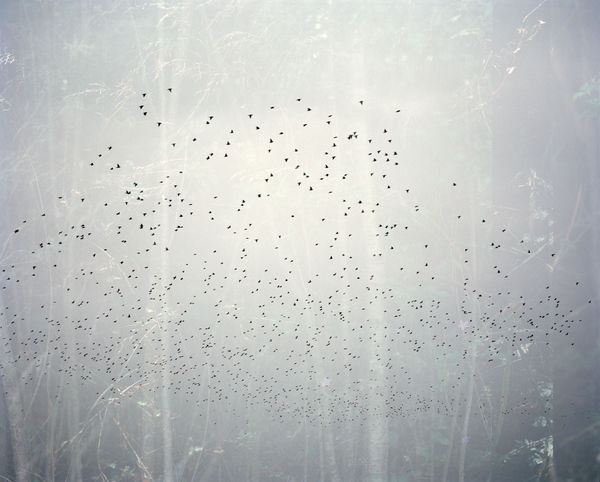 Erle M. Kyllingmark, YDASSA #07, 2020