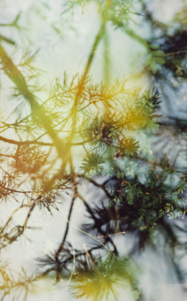 Erle M. Kyllingmark, Untitled Journey #3, 2018