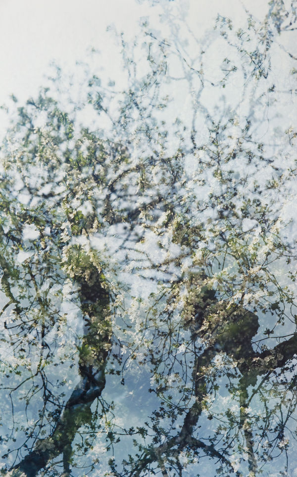 Erle M. Kyllingmark, Untitled Journey #14, 2018