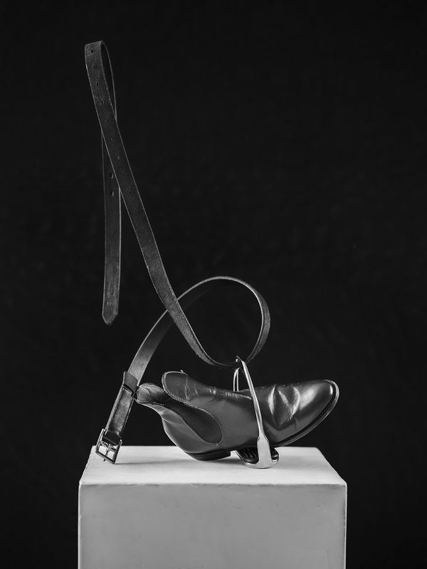 Anja Niemi, Involuntary Disembarkation, 2021