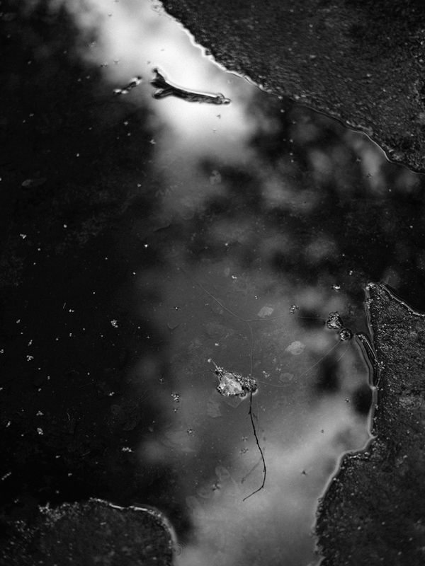 Massimo Leardini, ELV, Untitled, 2020