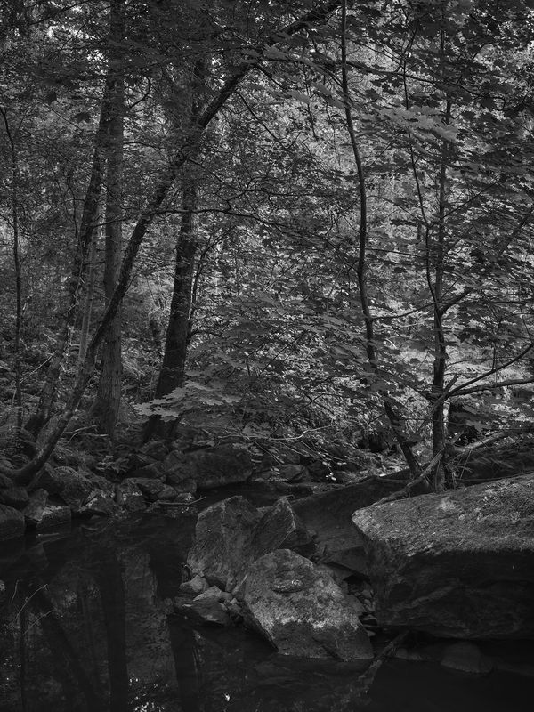 Anja Niemi, Black Water, 2021