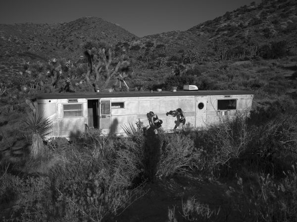 Anja Niemi, FIght Series no. 5, 2019