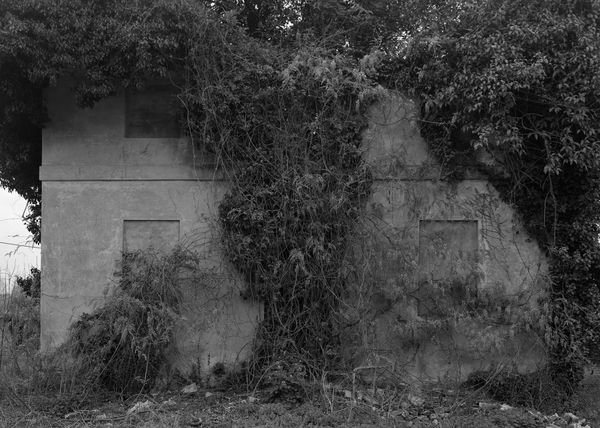Dag Alveng, Palladio Songs, Overgrown Annex Villa Zeno II, 2019