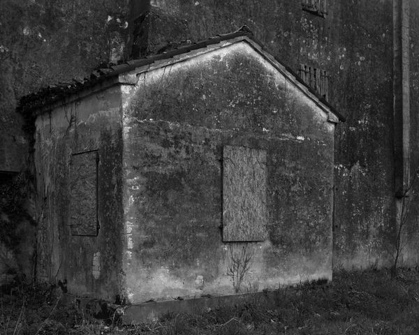 Dag Alveng, Palladio Songs, Shed Villa Zeno, 2019