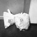 Dag Alveng, Asylum / To søppelsekker