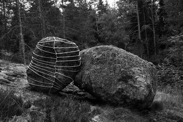 Anna Reivilä, Bond #12, 2015