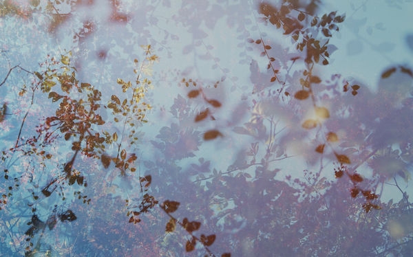 Erle M. Kyllingmark, In the Dark it Shines Through #9, 2018