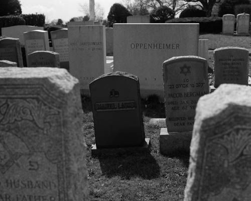 Dag Alveng, Chess / Laskers grav, New York, 2017