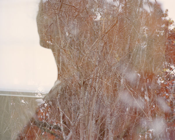 Erle M. Kyllingmark, YDASSA #41, 2020