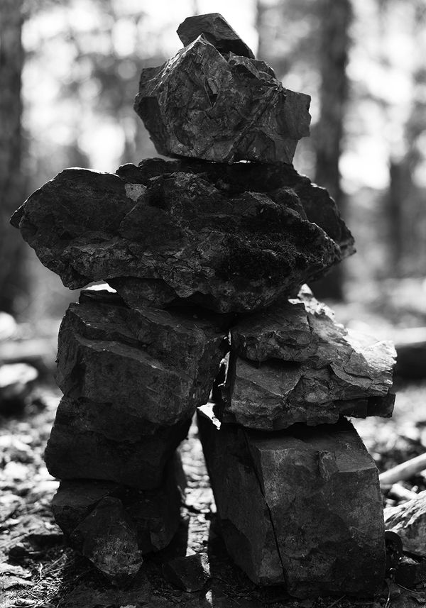 Massimo Leardini, ELV, Untitled, 2020