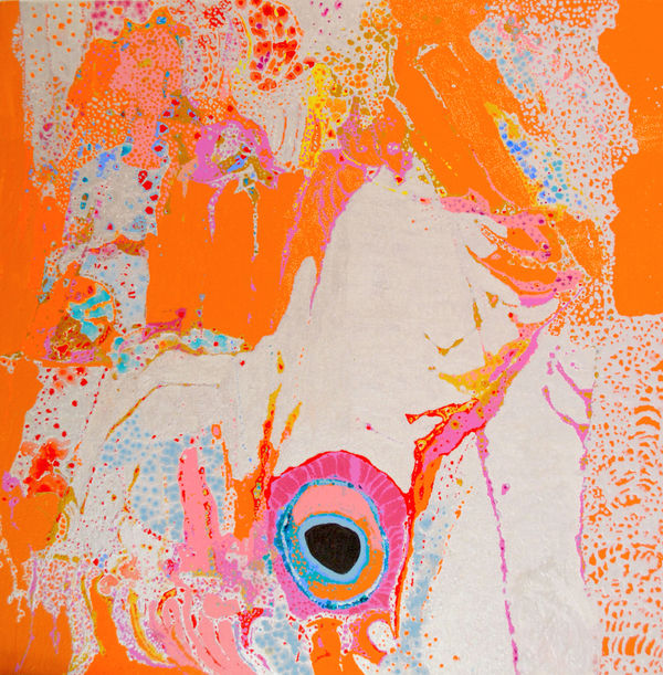 Daniel Walbidi Kirriwirri acrylic on linen 100 x 100 cm