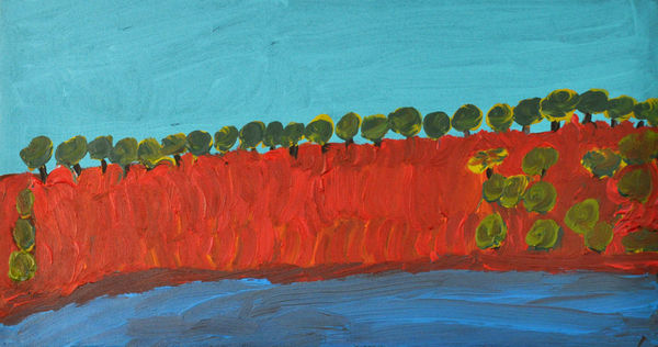 Alison Inkamala Finke River acrylic on canvas 30 x 60 cm