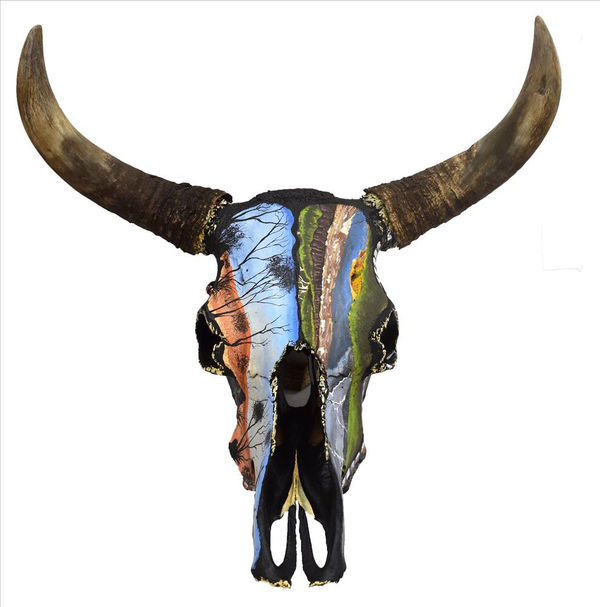 Hozaus Claire Bidaliji Bullock Head, 2019 Painted bullock head 41 x 65 x 53 cm