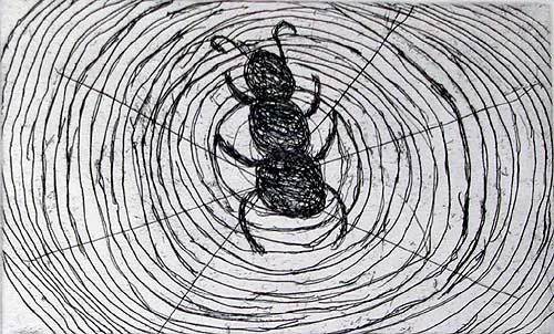 April Jones Spider etching on paper 17.5 x 20 cm