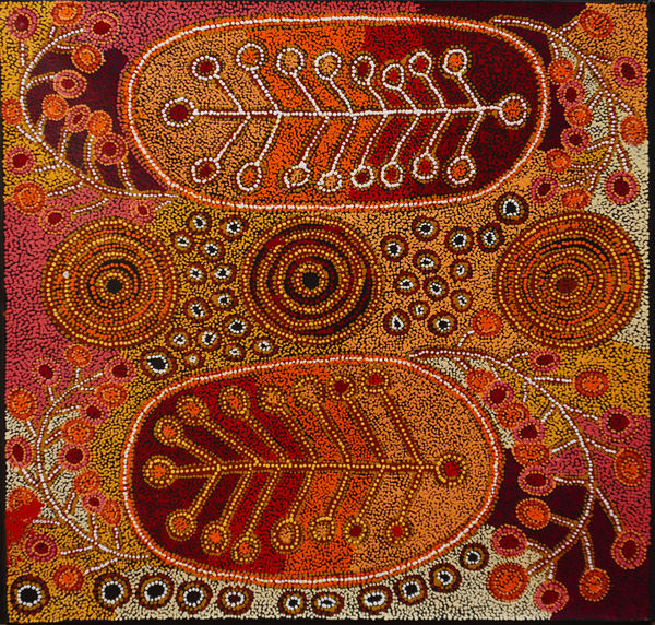 Amelia Riley, Ngayuku ngura - My Country, 2025