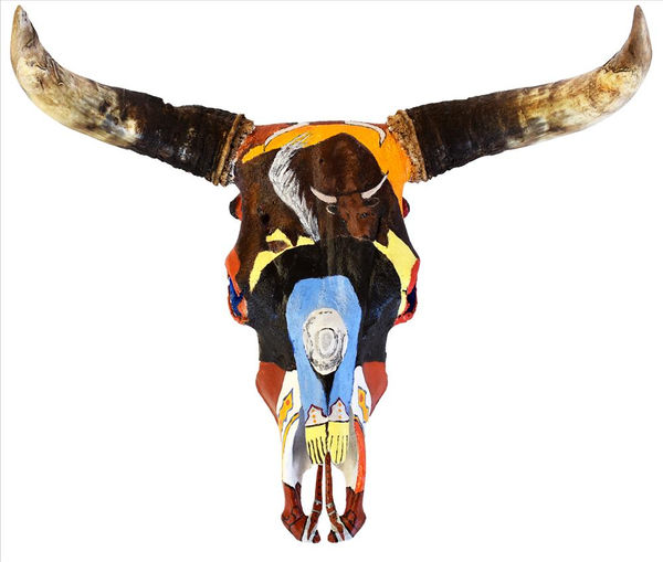 Mervyn Street Wild Scrub Bull Story, 2019 Wil bull skull & paint 43 x 71 x 55 cm