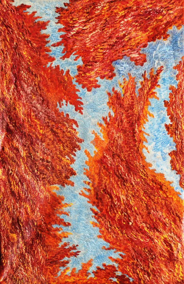 Dulcie Nanala, Wilkinkarra, 2025