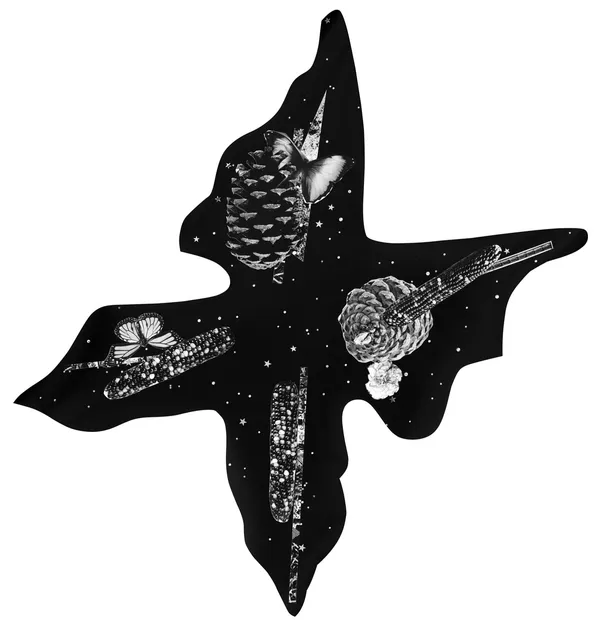 Fay Ray, Big Black Butterfly, 2018