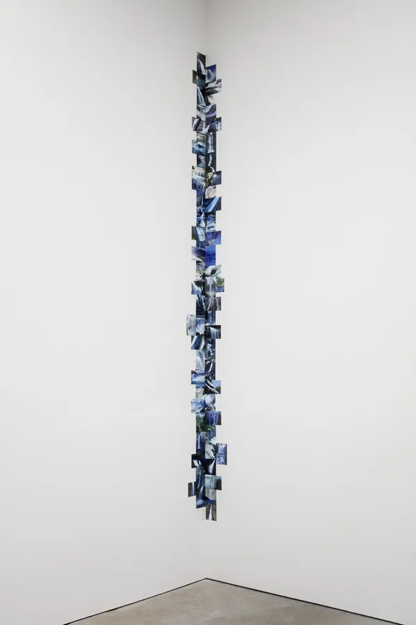 Deana Lawson Waterfall Assemblage, 2020 Photographic assemblage Installation dimensions variable, there are up to approximately 500 photos, 4 x 6 inches (10.2 x 15.2 cm) each. As shown installed at SJCo 2021: 62 images, approximately 135-140 inches tall, approximately 16" up from floor