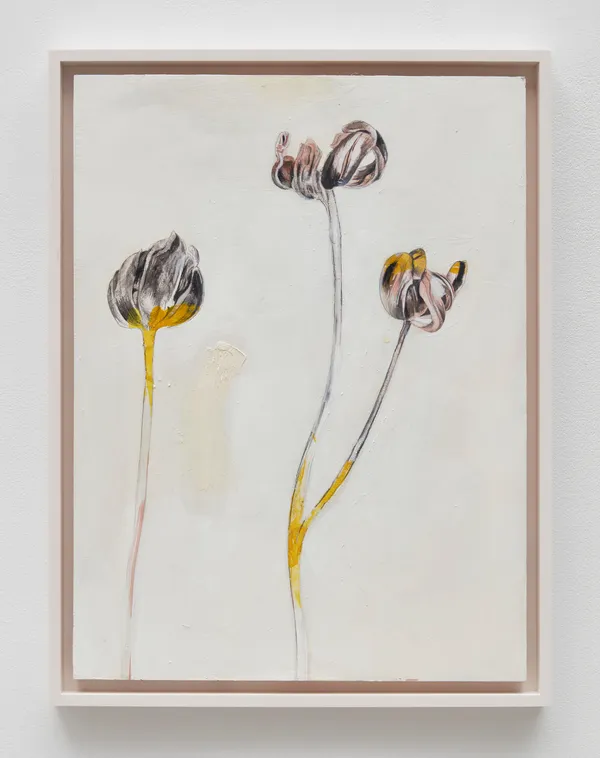 Wardell Milan 3 Tulips (II), 2022 Charcoal, graphite, oil on board 24 x 18 inches 61 x 45.7 cm Framed: 26 x 20 inches