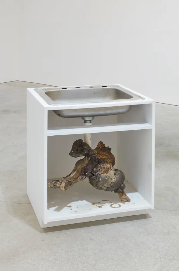 Brandon Ndife Organ, 2019 MDF, aluminum sink, PVC tubing, insulation foam, pigmented resin, earth pigment, hemp 34 1/4 x 28 x 25 1/4 inches 87 x 71.1 x 64.1 cm