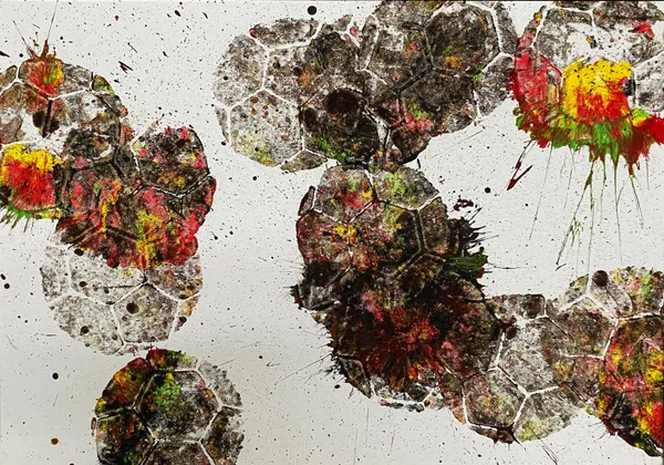 Marco Adamo, #13, 2024